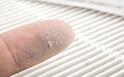 Maintain a Healthy Home with Clean Indoor Air