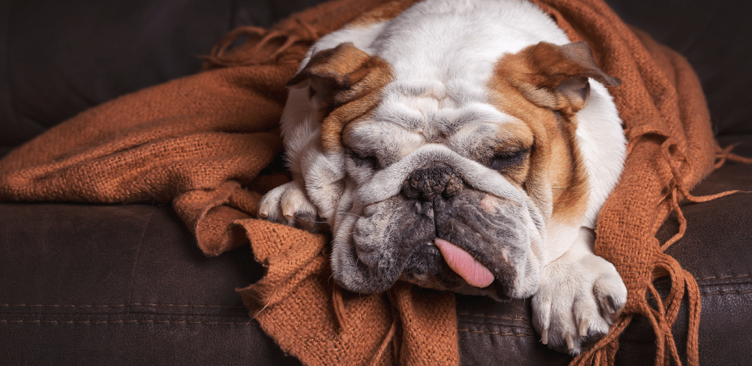 Invest in Furnace Repair Before the Winter Season Strikes