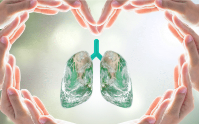 Keep Your Home Healthy for National Lung Month