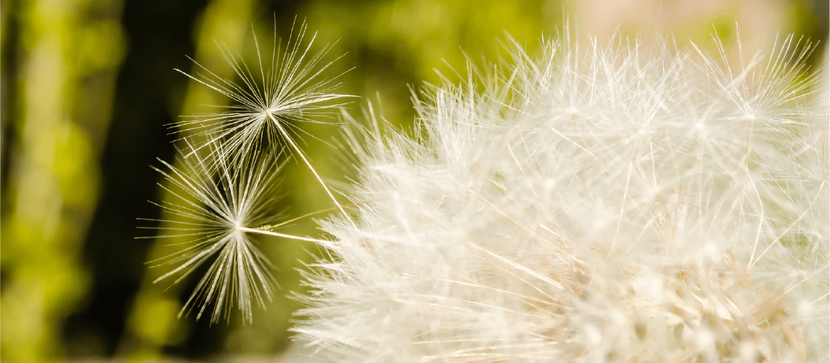 Indoor Air Quality