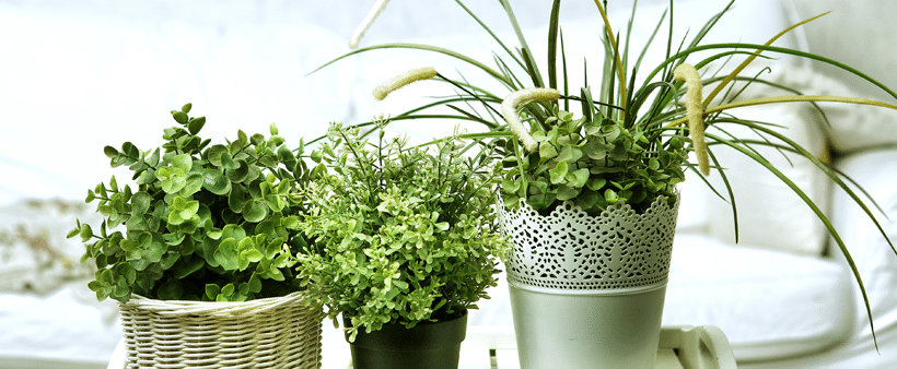 indoor air quality