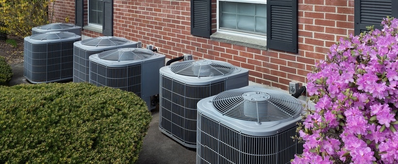 Ottawa New AC