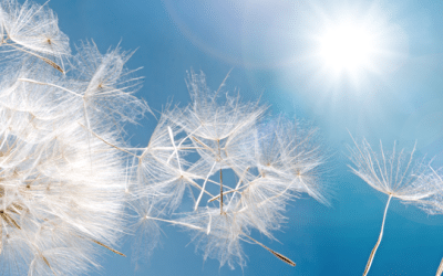 How Does Air Conditioning Help Allergies?