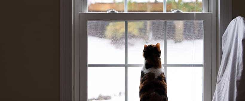 indoor air quality