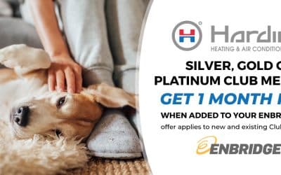 Team Harding Club Membership Fall Promo