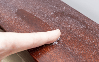 Start Spring with an Upgrade to Your Indoor Air Quality