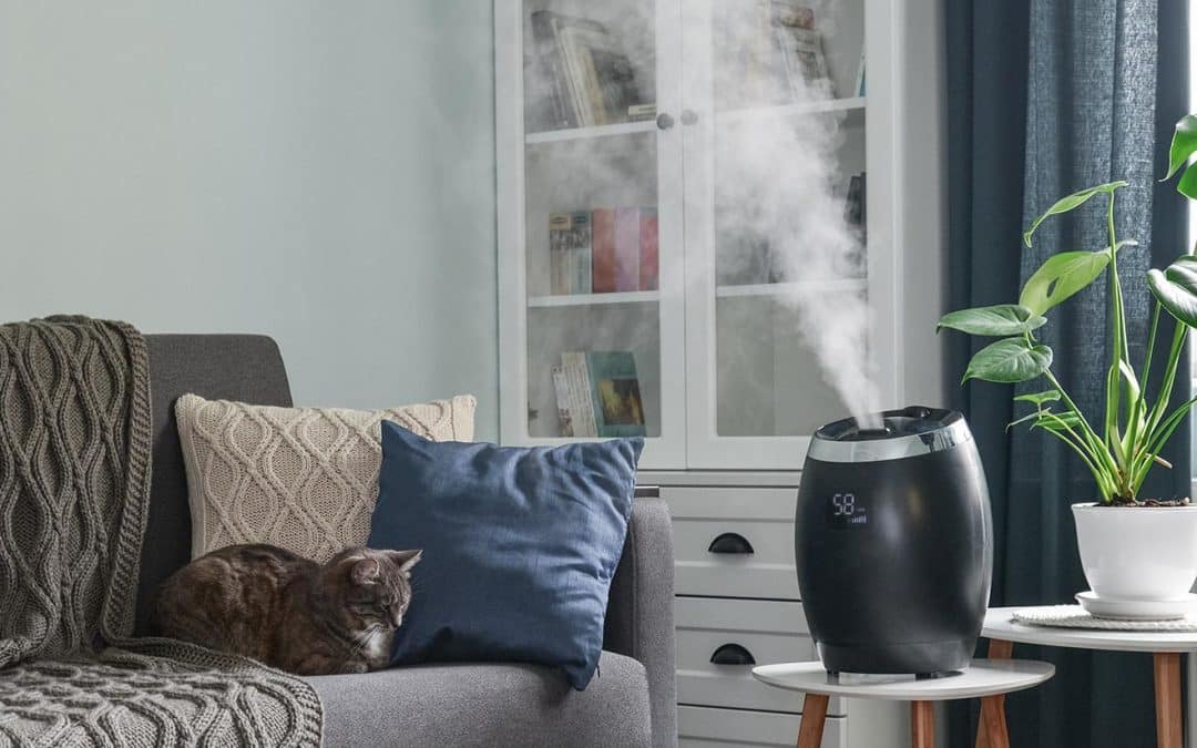Whole-Home Humidifier or Portable Humidifier: Which Is Better?