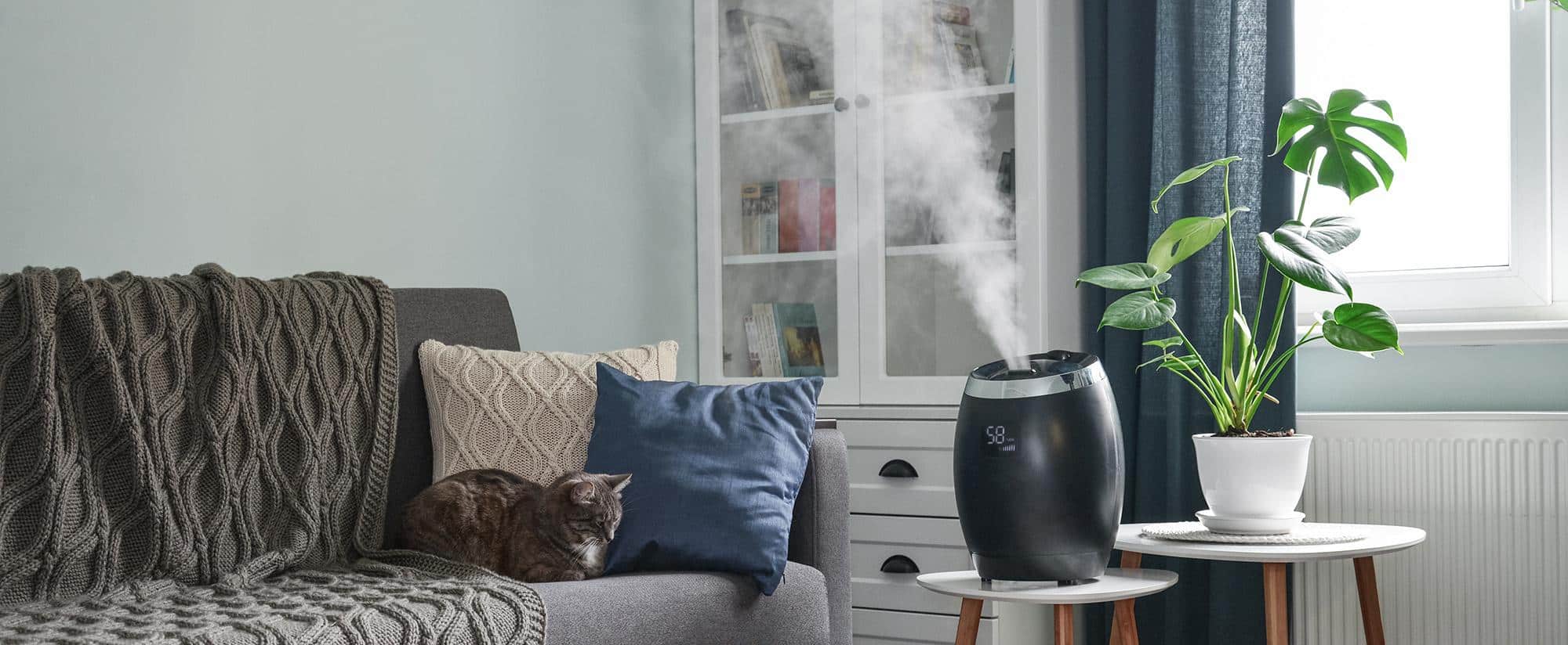 Whole-Home Humidifier
