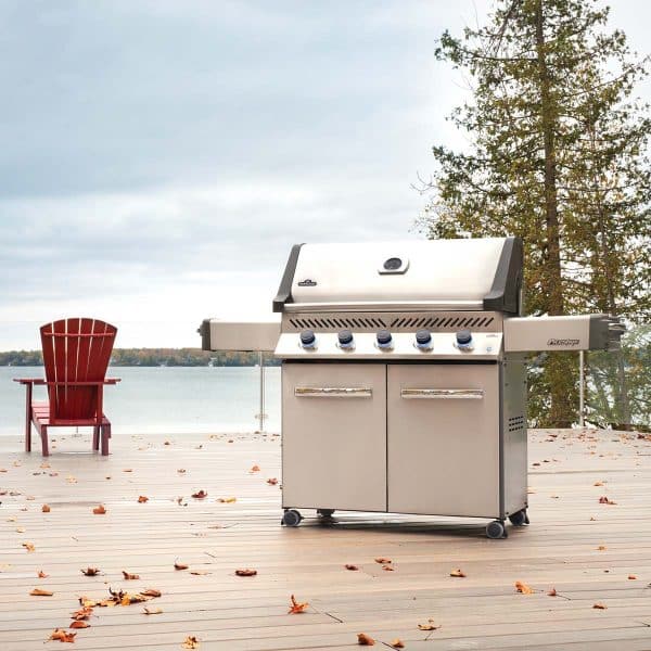 Napoleon Prestige® 665 (NG) - Image 2