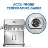 Napoleon Rogue® PRO 625 SIB (NG) - Image 8