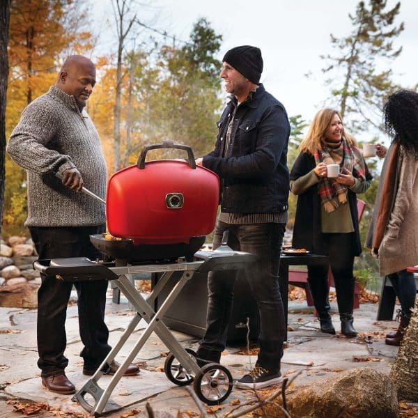 Napoleon TravelQ™ 285X (Red) - Image 4
