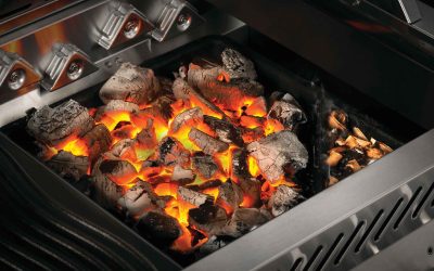 Using the Napoleon Charcoal Tray: A Simple Guide
