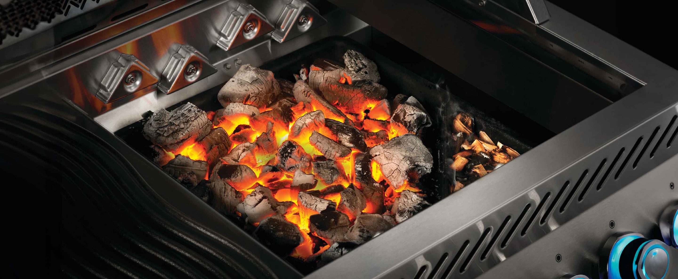 napoleon charcoal tray